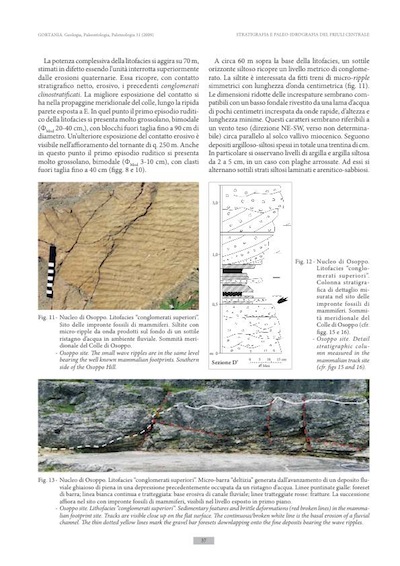 venturini_discenza_2009-37
