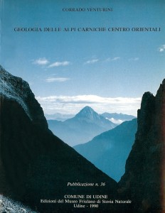 cv - 1990 - geologia alpi carniche centro-orientali